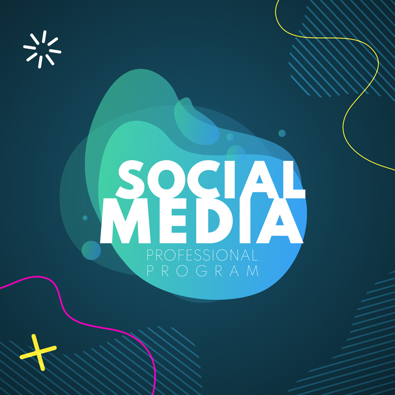 Social Media Professional Program